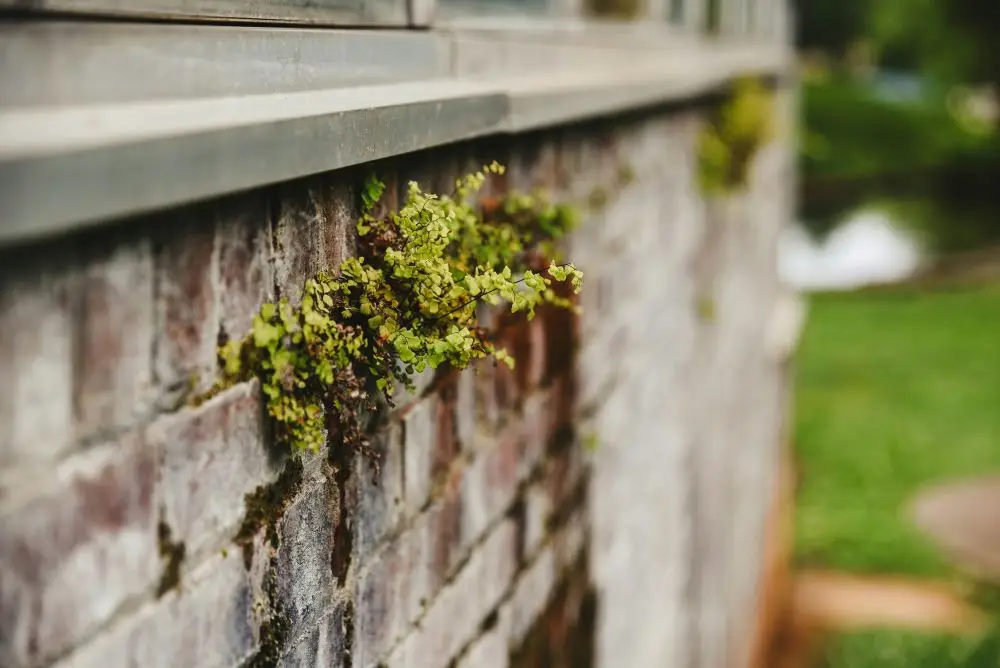 Home Buying Red Flags: 10 Problems You Can Spot on Your Own