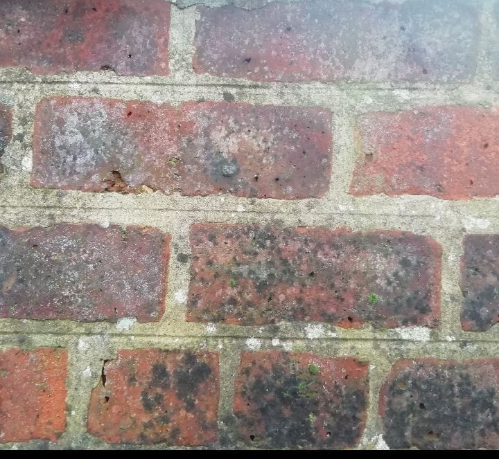 Lime mortar Warrenton