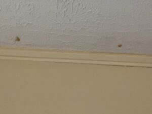 Photo of nail pops found at home inspection in Manassas, Va.
