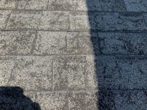 Shingle granule loss on Dogwood Home inspection in Leesburg, Va.
